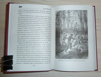 Рид Майн: Огненная Земля; Водяная пустыня, или Водою по лесу