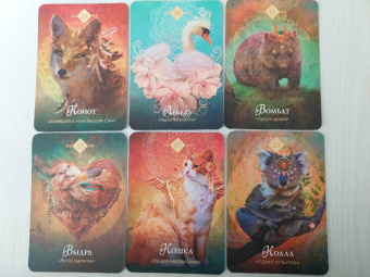 Колетт Барон-Рид: The Spirit Animal Oracle. Духи животных. Оракул, 68 карт и руководство в подарочном оформлении