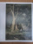 Иван Иванович Шишкин. 1832-1898. Картины, рисунки и акварели, гравюры из фондов Русского музея