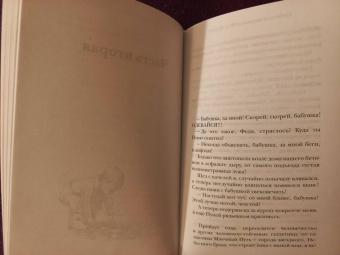 Александра Николаенко: Небесный почтальон Федя Булкин