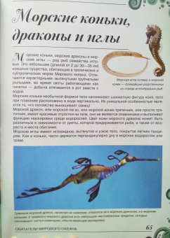 Вячеслав Ликсо: Большая книга о подводном мире. 1001 фотография