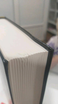 Адриана Трижиани: Жена башмачника