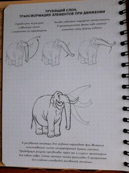 Пименова, Осипов: Sketchbook. Скетчбук аниматора