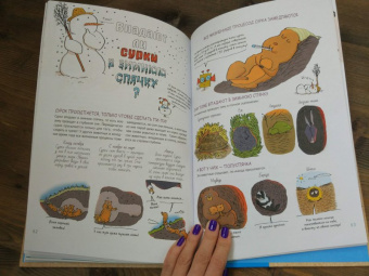 Бейнье, Фишу: Наука не скука. Ученые ответы на детские вопросы