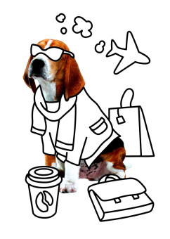 Раскраска с фото. Собачки и их друзья