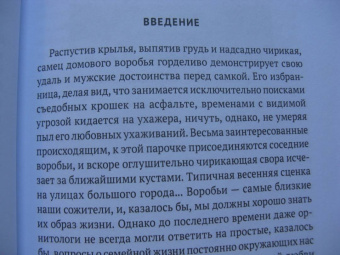 Владимир Паевский: Пернатые многоженцы. Любовь, браки, измены и разводы в мире птиц
