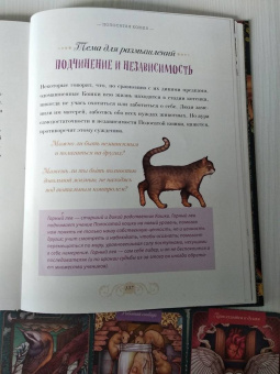 Майя Толл: Магический бестиарий. Вдохновляющие послания и ритуалы от 36 волшебных животных 36 карт и книга