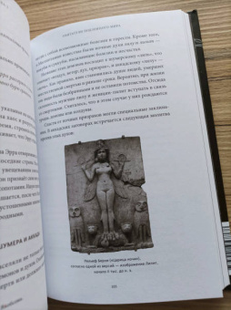 Юлия Чмеленко: Шумерские мифы. От Всемирного потопа и эпоса о Гильгамеше до бога Энки и птицы Анзуд