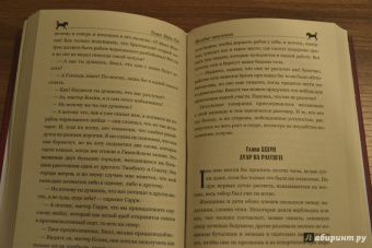 Рид Майн: Пиратский остров. Молодые невольники