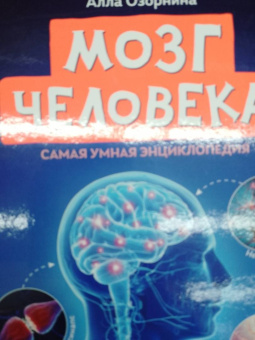 Алла Озорнина: Мозг человека. Самая умная энциклопедия