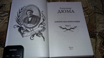 Александр Дюма: Ожерелье королевы. Том 2