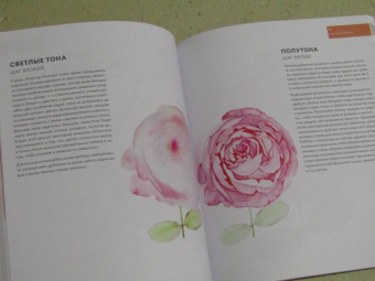 Дженна Рейни: Ни дня без акварели. Цветы. Пошаговое руководство по рисованию соцветий, листьев и стеблей