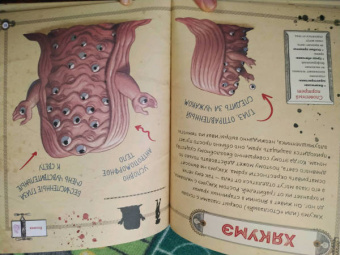 Фраска, Маркони: Мифические существа. Путешествие в поисках легендарных монстров