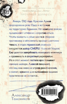 Александр Тамоников: Агент из подземелья