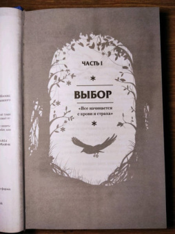 Леа Стенберг: Реннвинд. Проклятие дня