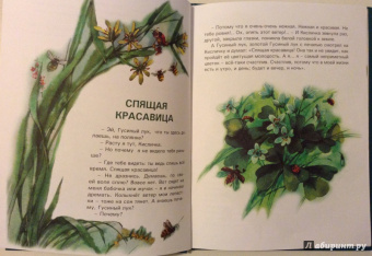 Валерий Кастрючин: Сказки Чудо-дерева