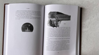 Альфонс Доде: Сафо