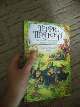 Терри Пратчетт: Ведьмы за границей. Дамы и Господа