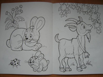 Татьяна Коваль: Домашние любимцы