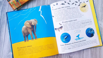 Мак Гагельдонк: Посмотри, как я могу! Чудеса животного мира