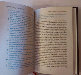 Микки Мюллер: Зеркало ведьмы. Ремесло, знания и магия зазеркалья