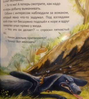 Сергей Духин: Приключения лисёнка Джимми. Маленький храбрец