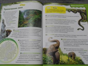 Вероника Пеллегрини: Вопросы и ответы обо всем на свете