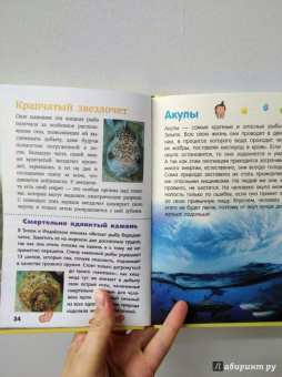 Кошевар, Хомич: Всё обо всём