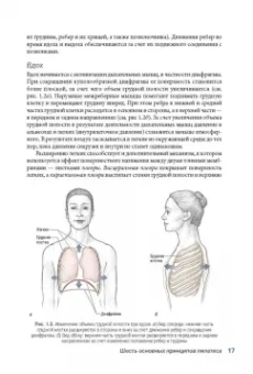Исаковиц, Клиппингер: Анатомия пилатеса. Иллюстрированное руководство