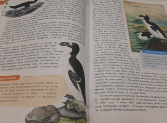 Молюков, Смирнов: Красная книга мира. Черные и белые страницы