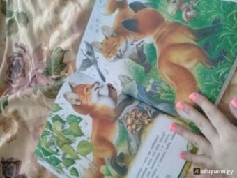 Николай Сладков: Сказки лесной опушки