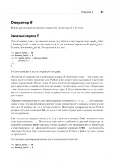 Даниэль Зингаро: Python без проблем. Решаем реальные задачи и пишем полезный код