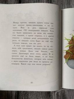Реми Мазель: Фу!