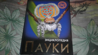 Людмила Соколова: Хочу знать. Пауки