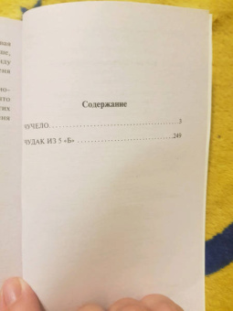 Владимир Железников: Чучело