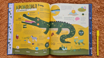 Пинтос, Ианнуззи: Как спит пчела? Удивительные факты о животных и их суперспособностях