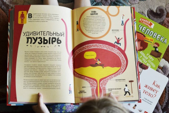 Макс Пембертон: Тело человека. Как работает наш удивительный организм