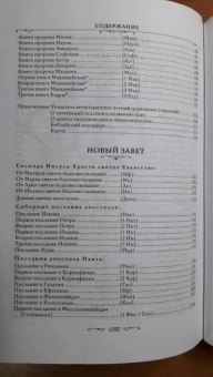 Библия. Книги Священного Писания Ветхого и Нового Завета (бордо)