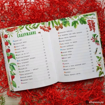 Николай Сладков: Лесные сказки