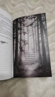 Леа Стенберг: Реннвинд. Проклятие дня