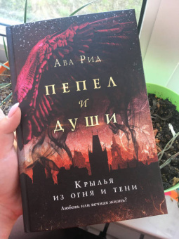 Ава Рид: Крылья из огня и тени