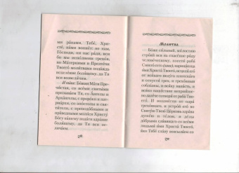 Канон за болящего