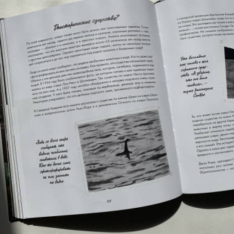 Кэтрин Халик: Рацио! Нормальные объяснения "аномальных" событий