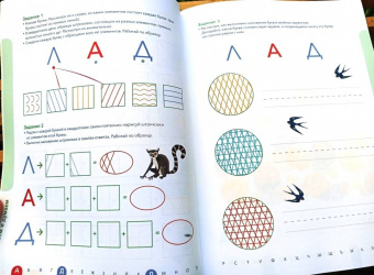 Ирина Мальцева: Прописи. Учимся писать печатные буквы. 5-6 лет