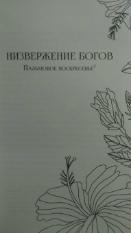 Чимаманда Адичи: Лиловый цветок гибискуса