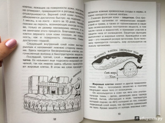 Борис Сергеев: Как устроен человек