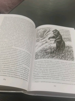 Джеймс Кервуд: Бродяги Севера