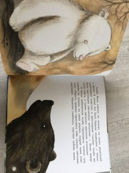 Татьяна Григорьян: Другая Альба. Сказка об уникальной внешности медвежонка