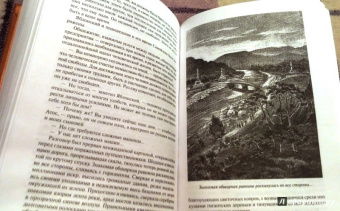 Николай Шелонский: Братья Святого Креста. В мире будущего