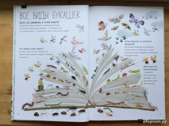 Зоммер, Тейлор: Большая книга букашек